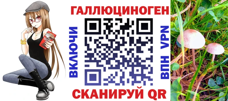 Галлюциногенные грибы ЛСД  хочу наркоту  Унеча 